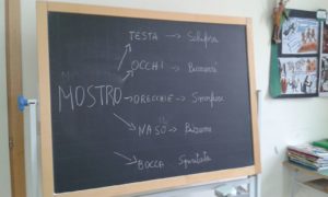 IMG-20161030-WA0008